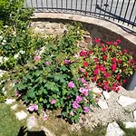 La Casa Di Giuliana Bed & Breakfast