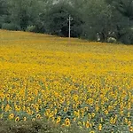La Casa Di Giuliana Bed & Breakfast