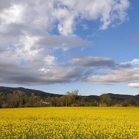 La Casa Di Giuliana Cermignano
