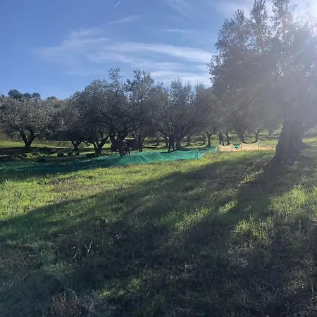 Oda ve Kahvaltı La Casa Di Giuliana