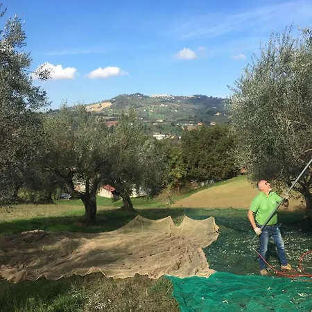 Oda ve Kahvaltı La Casa Di Giuliana Cermignano
