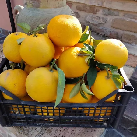 Alojamento de Acomodação e Pequeno-almoço La Casa Di Giuliana