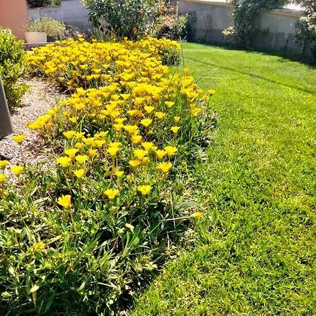 La Casa Di Giuliana Cermignano