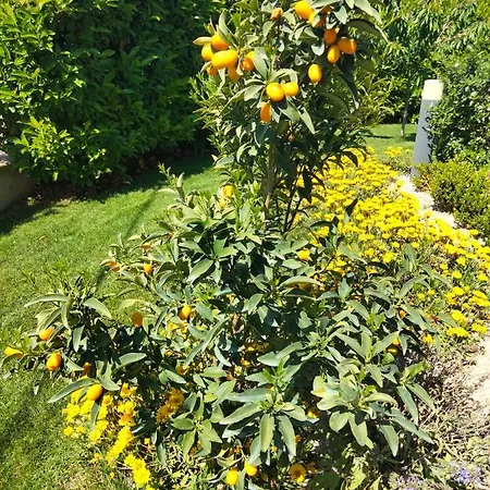 La Casa Di Giuliana Alojamento de Acomodação e Pequeno-almoço