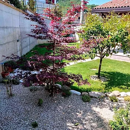 La Casa Di Giuliana Bed & Breakfast Cermignano