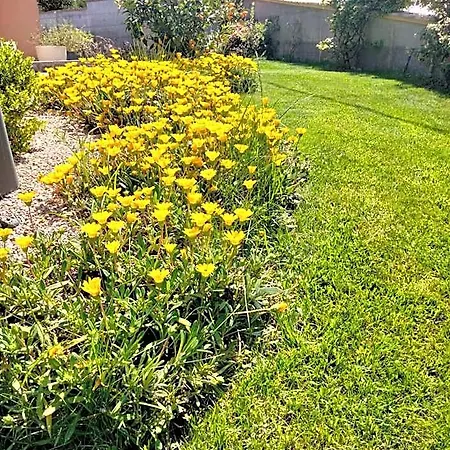 Bed & Breakfast La Casa Di Giuliana