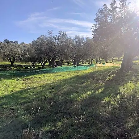 La Casa Di Giuliana Bed & Breakfast Cermignano