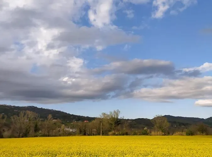 La Casa Di Giuliana Cermignano