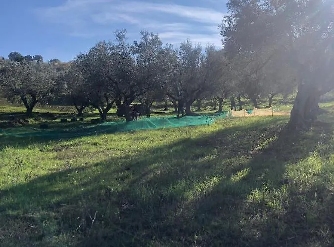 Alojamento de Acomodação e Pequeno-almoço La Casa Di Giuliana