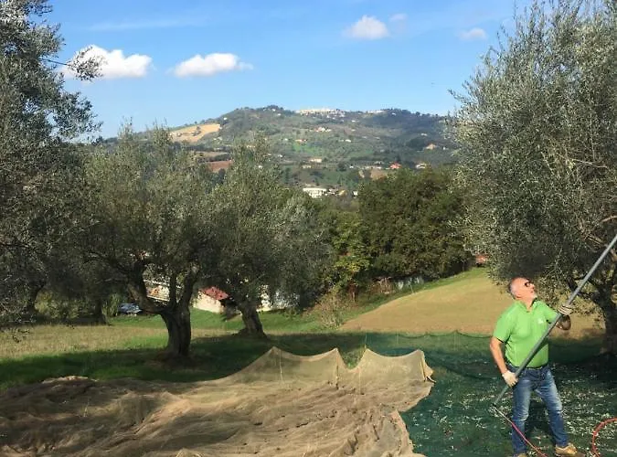 Bed and breakfast La Casa Di Giuliana Cermignano