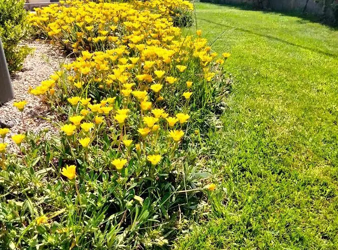 La Casa Di Giuliana Cermignano