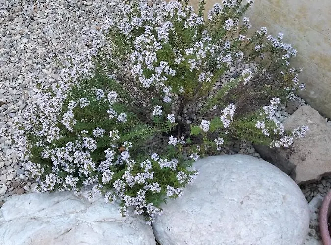 Bed and breakfast La Casa Di Giuliana 3*