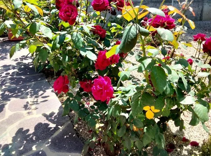 La Casa Di Giuliana Bed and breakfast