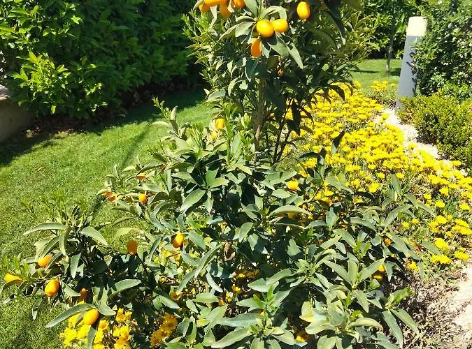 La Casa Di Giuliana Bed and breakfast