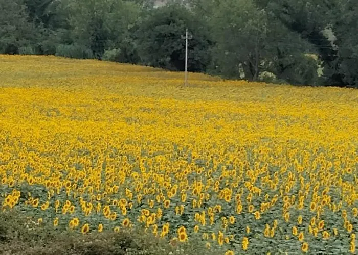 La Casa Di Giuliana Bed and breakfast